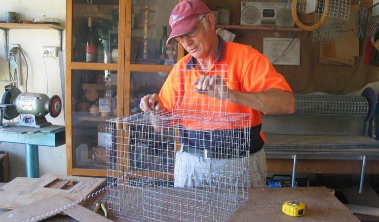 NMS 2014 052 768x451