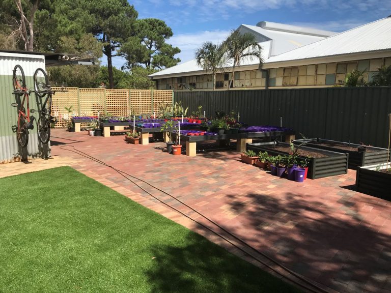 SCMS Garden After3 768x576