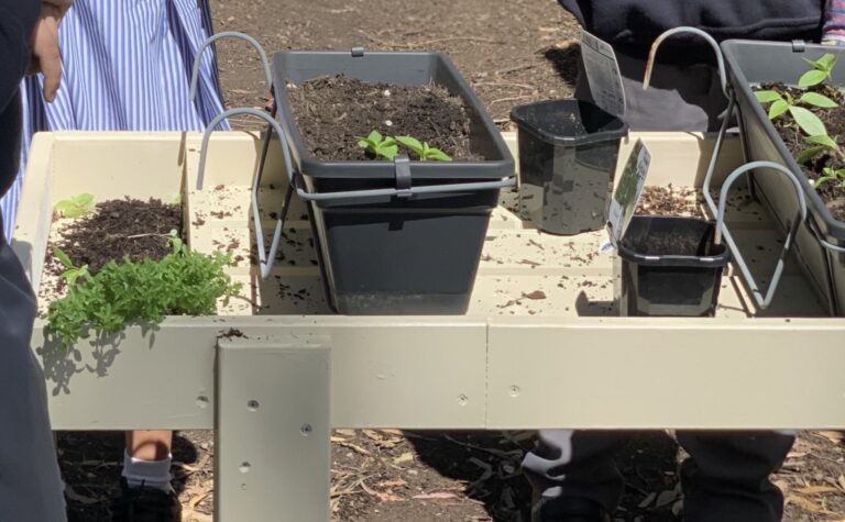 Gardening Trolley for Peakhurst Public School