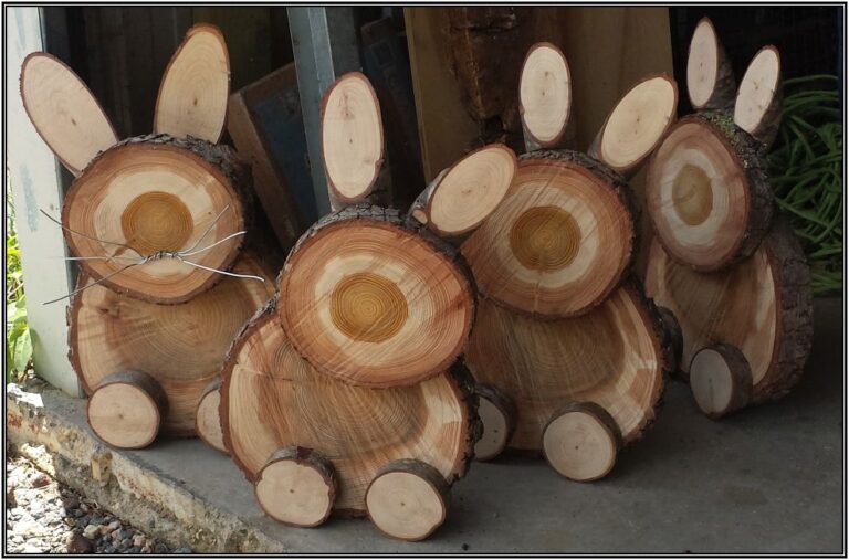 20190215 Johns Rabbits 768x507